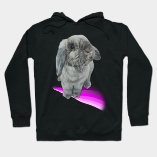 Gorgeous seal point mini lop bunny on a pastel rainbow! Hoodie